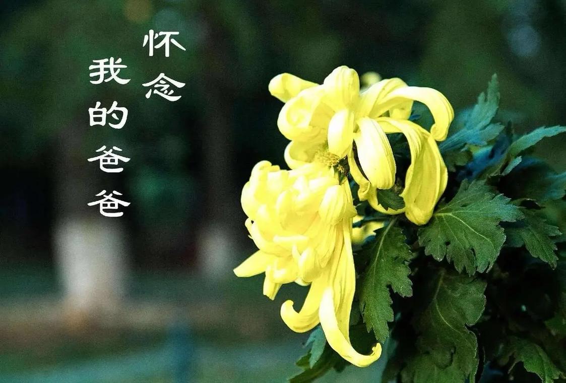 admin 第7页