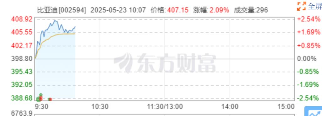 比亚迪股价跌超8%,比亚迪股价跌超800亿